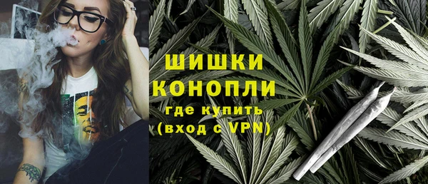 стаф Балахна