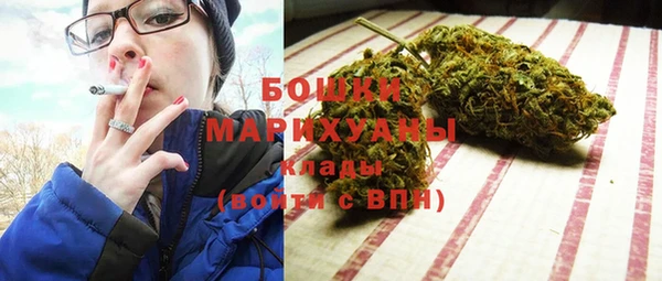 стаф Балахна